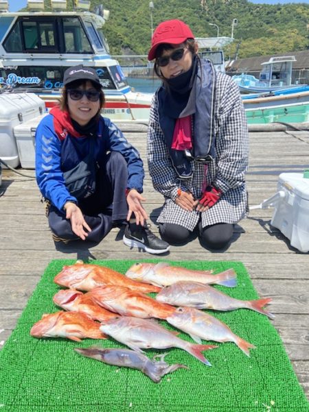 シードリーム 釣果