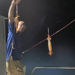 シードリーム 釣果