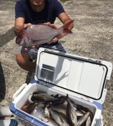 小倉丸 釣果