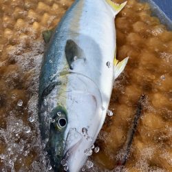 松鶴丸 釣果