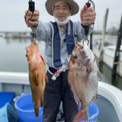 リトルワン 釣果