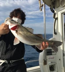 シーモンキー 釣果