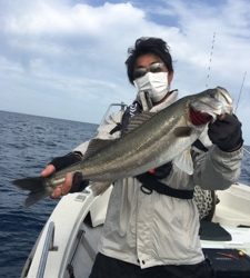 シーモンキー 釣果