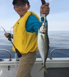 シーモンキー 釣果