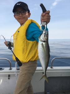 シーモンキー 釣果