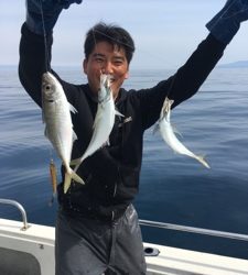 シーモンキー 釣果