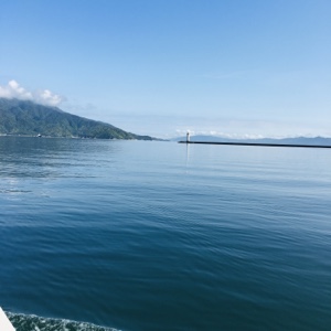 シーモンキー 釣果