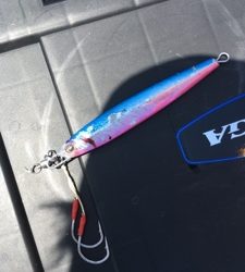 シーモンキー 釣果