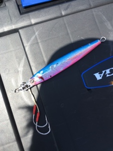 シーモンキー 釣果