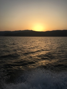 シーモンキー 釣果