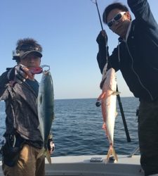 シーモンキー 釣果