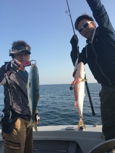 シーモンキー 釣果