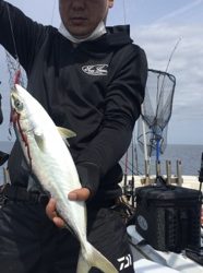 シーモンキー 釣果