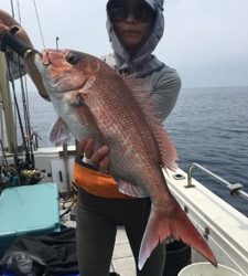 シーモンキー 釣果