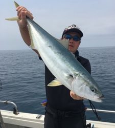 シーモンキー 釣果