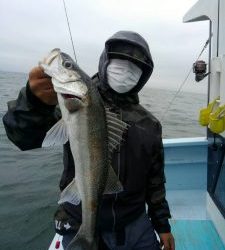 東京湾探釣隊ぼっち 釣果