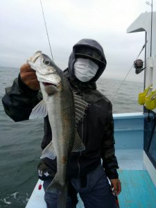 東京湾探釣隊ぼっち 釣果