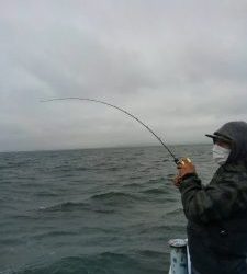 東京湾探釣隊ぼっち 釣果