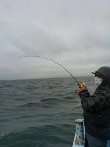 東京湾探釣隊ぼっち 釣果