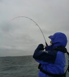 東京湾探釣隊ぼっち 釣果