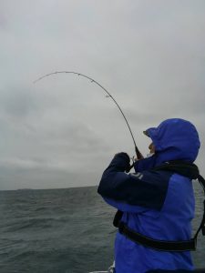 東京湾探釣隊ぼっち 釣果
