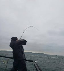 東京湾探釣隊ぼっち 釣果