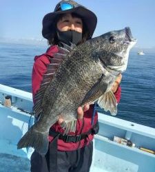 東京湾探釣隊ぼっち 釣果
