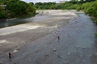 秩父フライフィールド 釣果