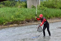 秩父フライフィールド 釣果