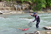 秩父フライフィールド 釣果