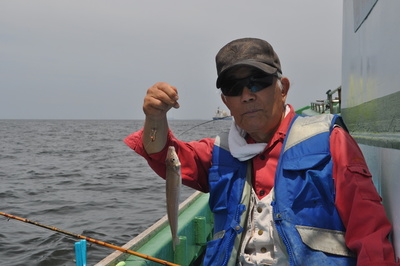 根岸丸 釣果