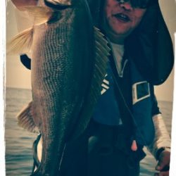 海晴丸 釣果