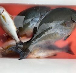 千津丸 釣果