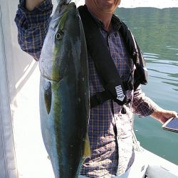 フィッシングガイド りょう 釣果