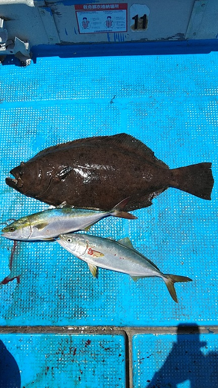 フィッシングガイド りょう 釣果