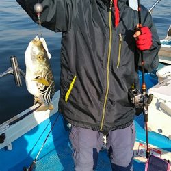 フィッシングガイド りょう 釣果