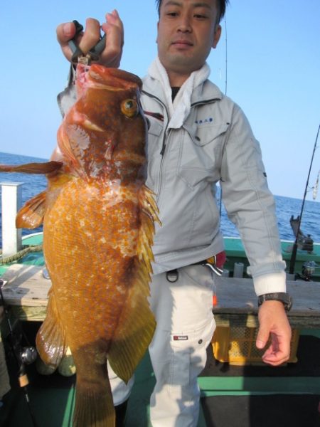 真祐丸 (しんゆうまる) 釣果