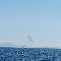 遊漁船 家入 釣果