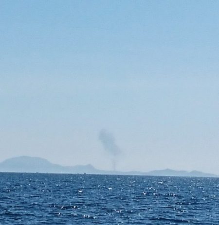 遊漁船 家入 釣果