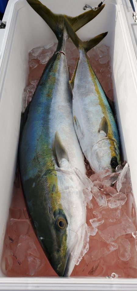 LUSTER『ラスター』 釣果