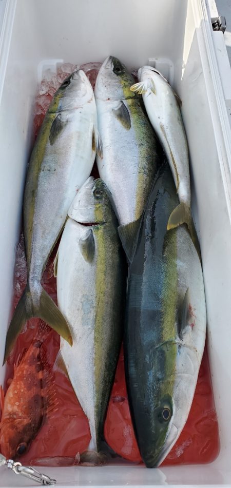 LUSTER『ラスター』 釣果