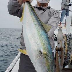 LUSTER『ラスター』 釣果