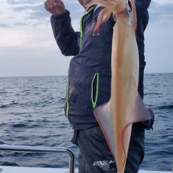 LUSTER『ラスター』 釣果