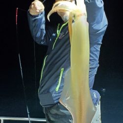 LUSTER『ラスター』 釣果