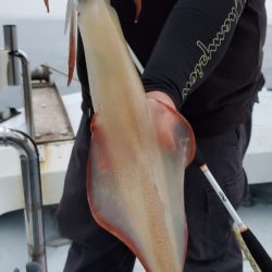 LUSTER『ラスター』 釣果