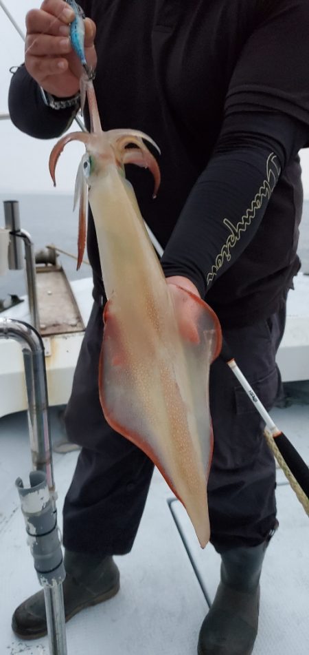 LUSTER『ラスター』 釣果