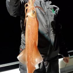 LUSTER『ラスター』 釣果