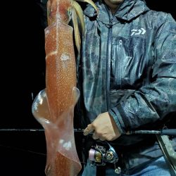 LUSTER『ラスター』 釣果