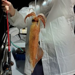 LUSTER『ラスター』 釣果