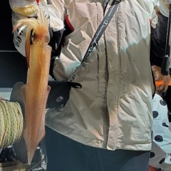 LUSTER『ラスター』 釣果